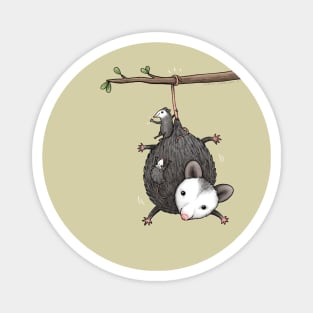 Opossum Family Magnet